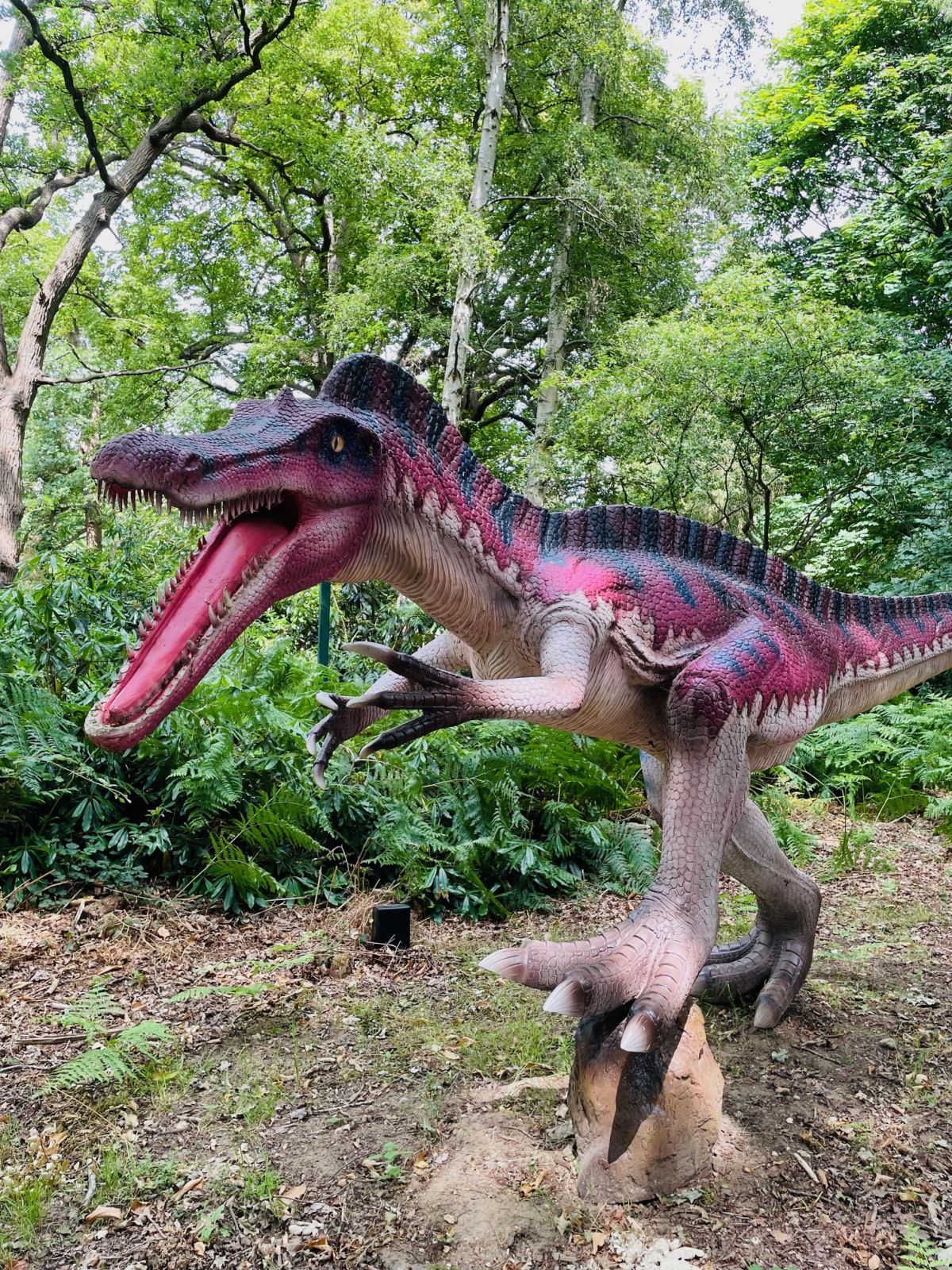 dino