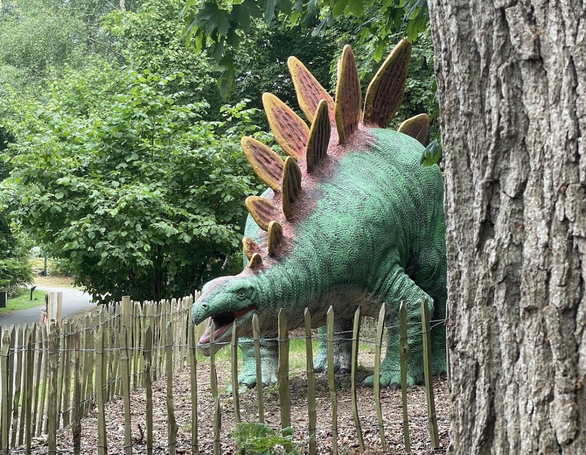 Roarr dino